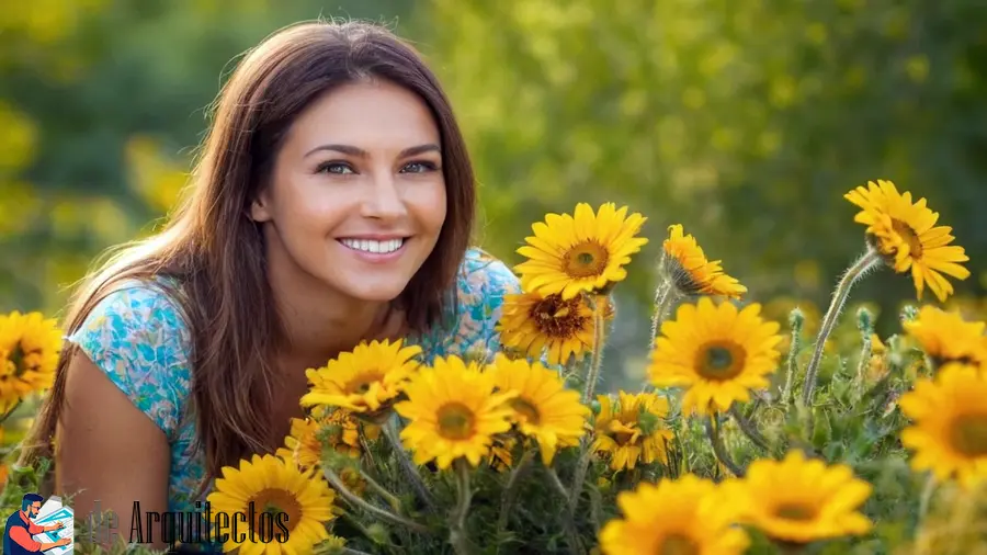 La Búsqueda de la Belleza y la Armonía