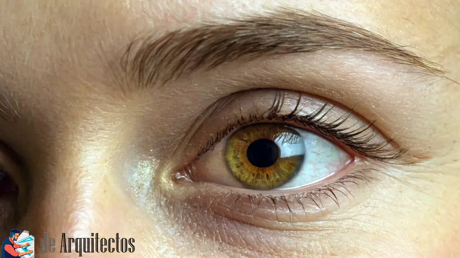 Los Orígenes y la Formación de un Artista Excepcional